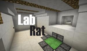 Télécharger Lab Rat pour Minecraft 1.12